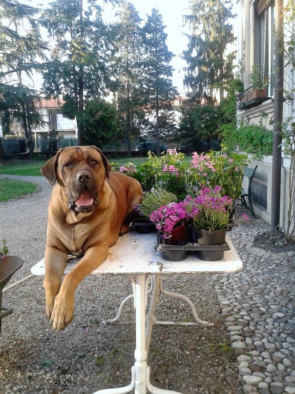 Invilla B&B Varese Exterior photo